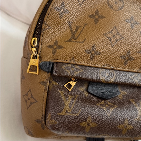 Louis Vuitton Palm Springs Mini main image 13